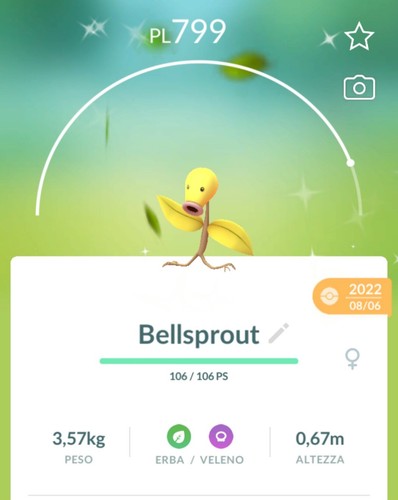 Shiny bellsprout lucido - shiny,