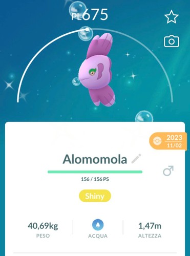 Shiny alomomola lucido - alomomola,