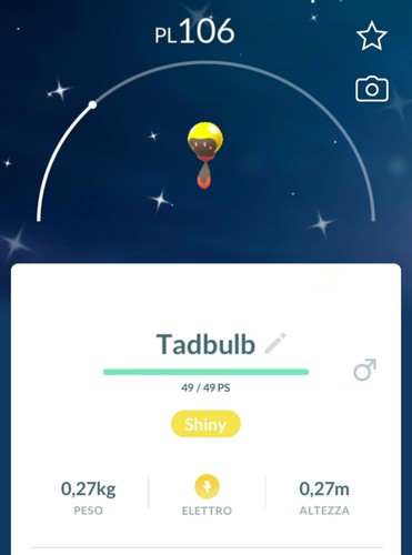 Shiny tadbulb lucido - tadbulb,
