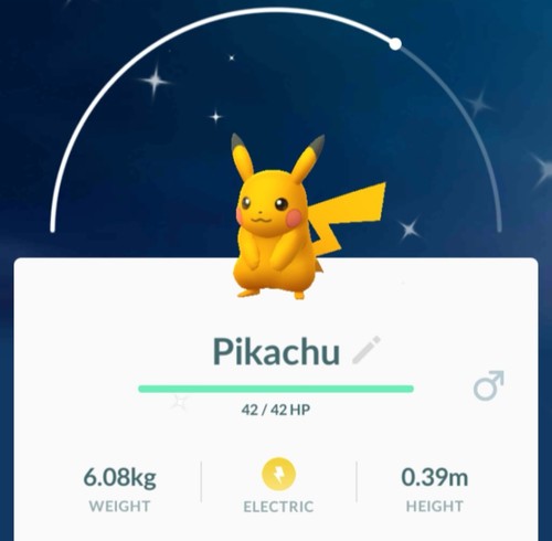 Shiny tutti all - tutti,