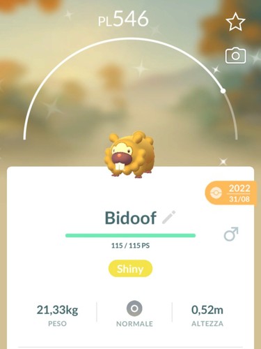 Shiny bidoof lucido leggendari - shiny,