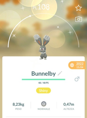 Shiny bunnelby lucido - bunnelby,