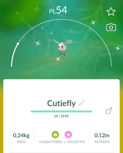 Shiny cutiefly lucido - shiny,