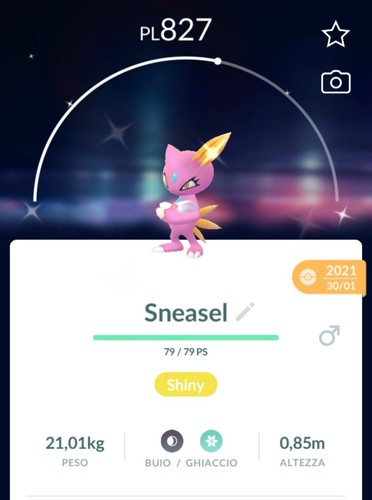 Shiny sneasel lucido - shiny,