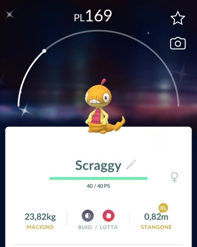 Shiny scraggy lucido - scraggy,