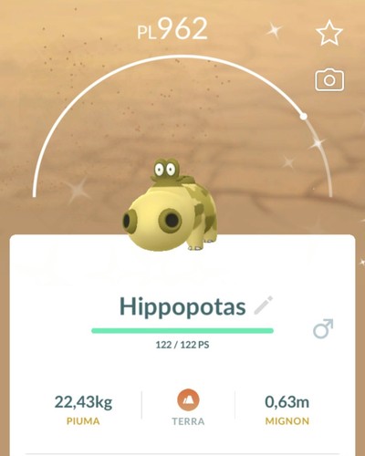 Shiny hippopotas lucido - shiny,