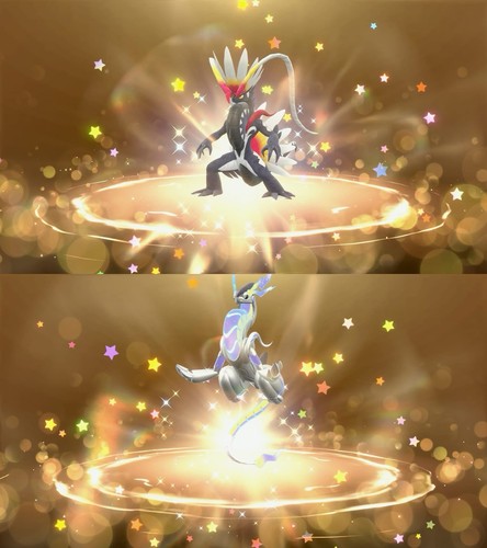 Eventi shiny - ✨,
