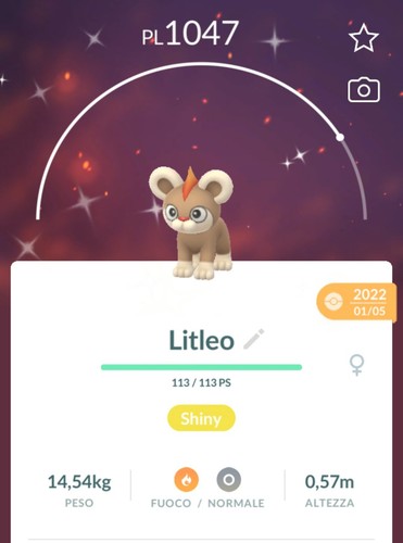 Shiny litleo lucido leggendari - shiny,