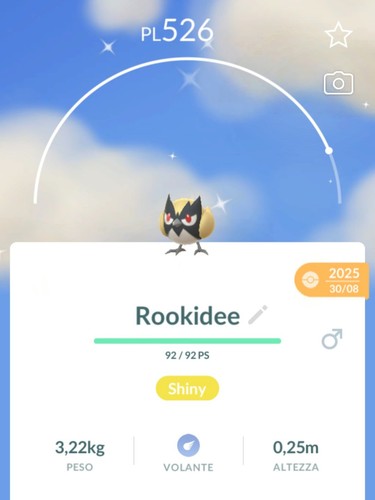 Shiny rookidee lucido - shiny,